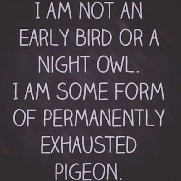 Meet your Posher, Stephanie - Picture 1 of 1